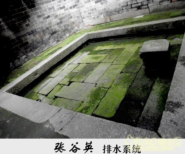 胡希軍 非物質(zhì)文化遺產(chǎn) 張谷英村 傳統(tǒng)禮俗