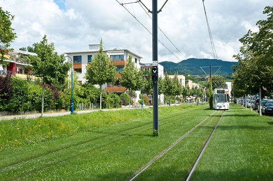 新城建設應體會當地文化