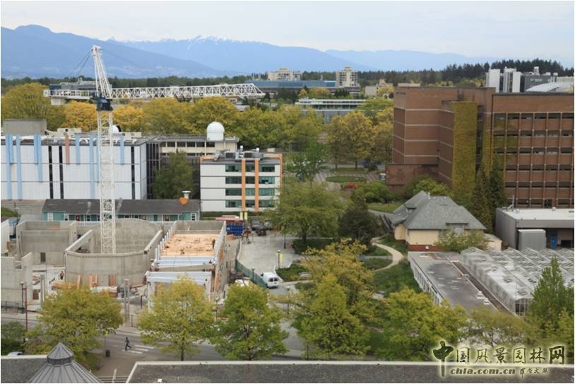 加拿大校園綠化