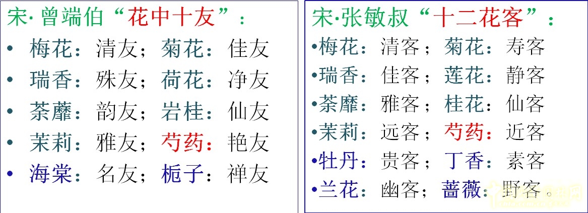 花中十友 十二花客