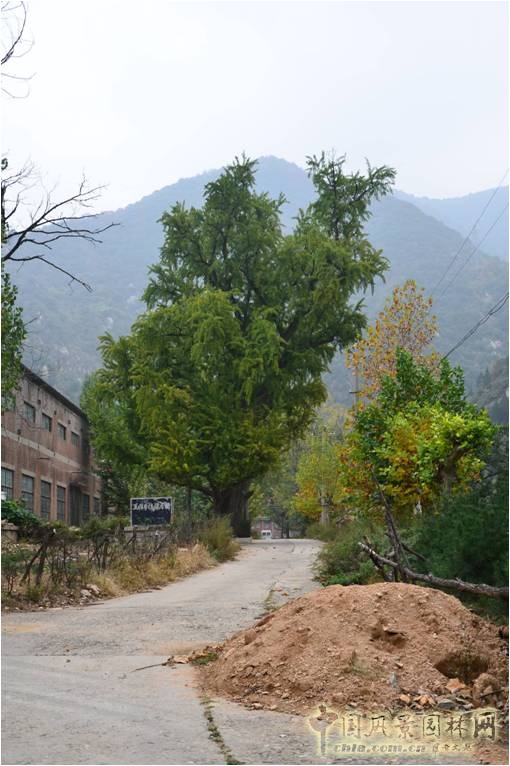 王維與園林 山水畫 古典園林 輞川別業 劉庭風