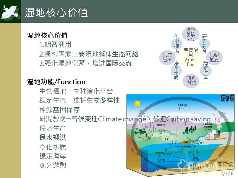 方偉達教授演講