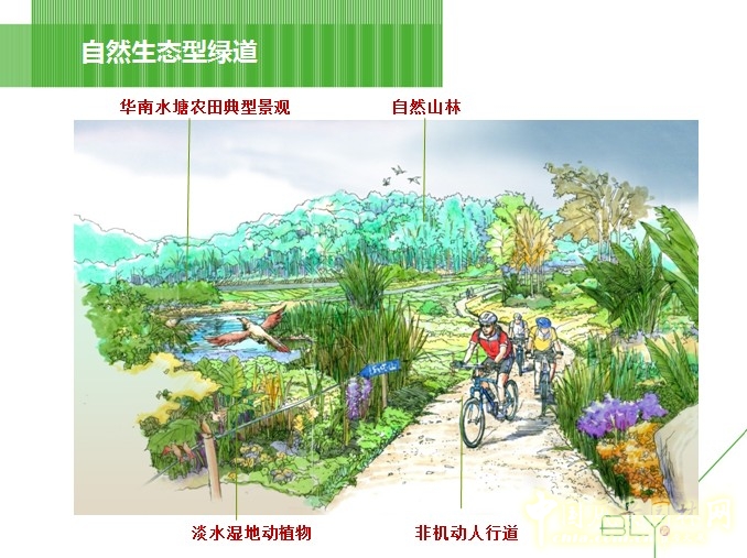 自然生態(tài)型綠道