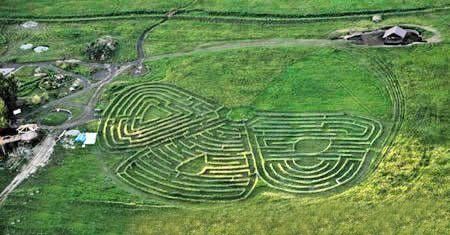 喬治森植物迷宮