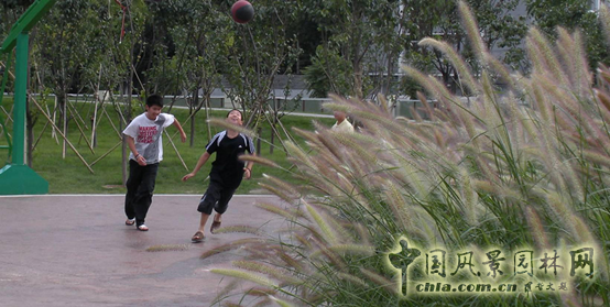 北京裘馬都公園