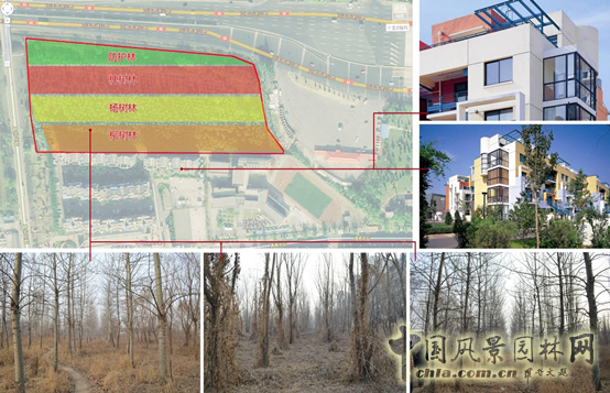 萬科青青林趣園