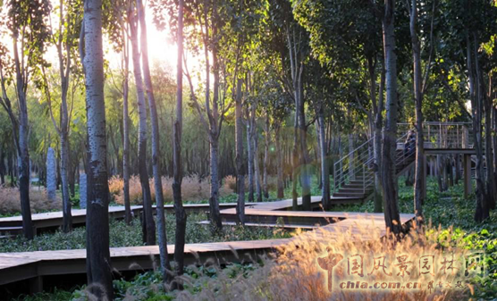 萬科青青林趣園