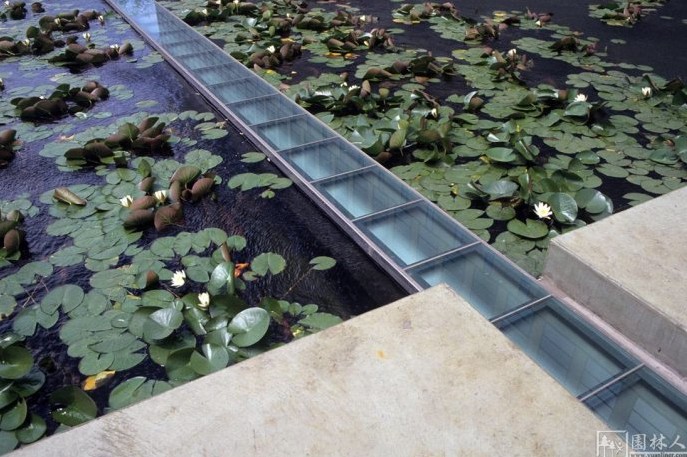 IBM大樓花園環境