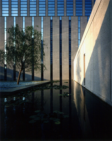 IBM大樓花園環境