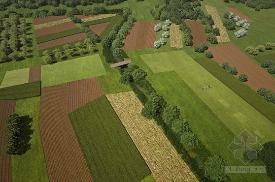 高爾夫球場設計