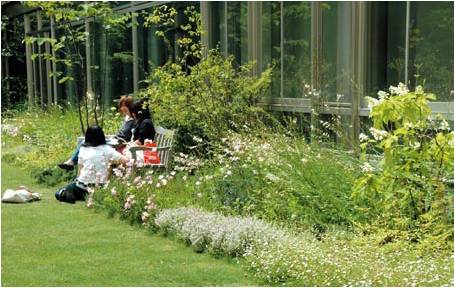 日本中部大學鏡花園