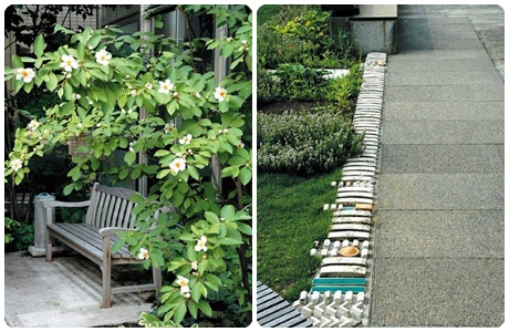 日本中部大學鏡花園