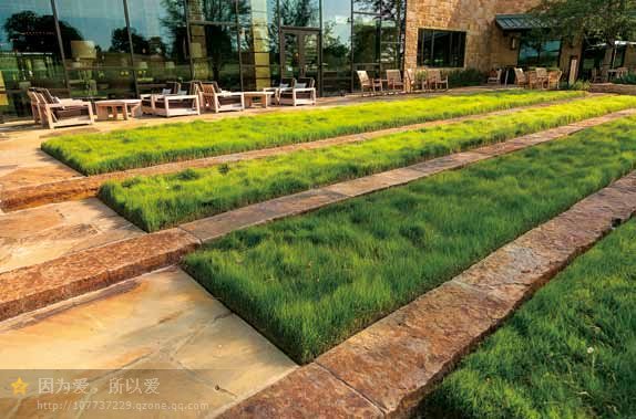 美國德勤大學校園景觀