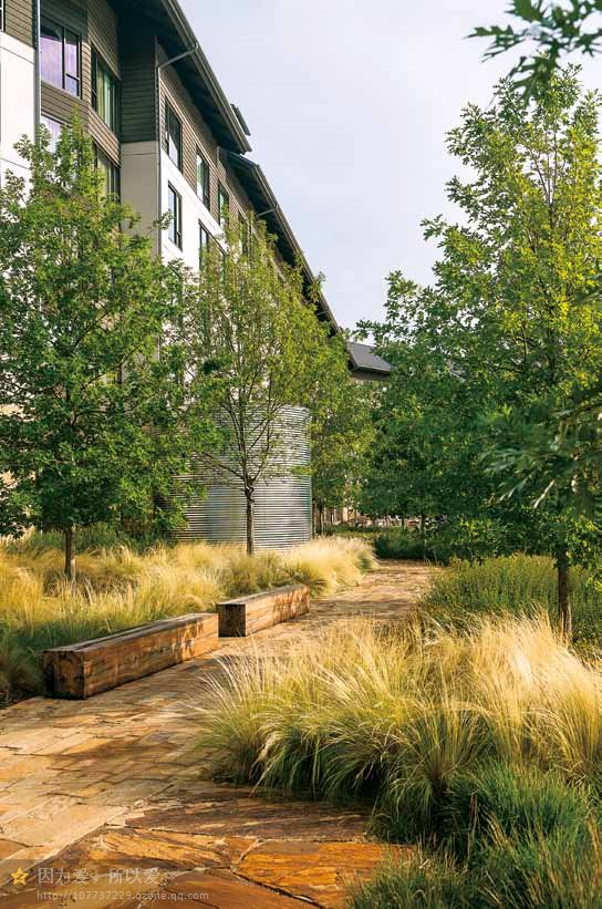 美國德勤大學校園景觀