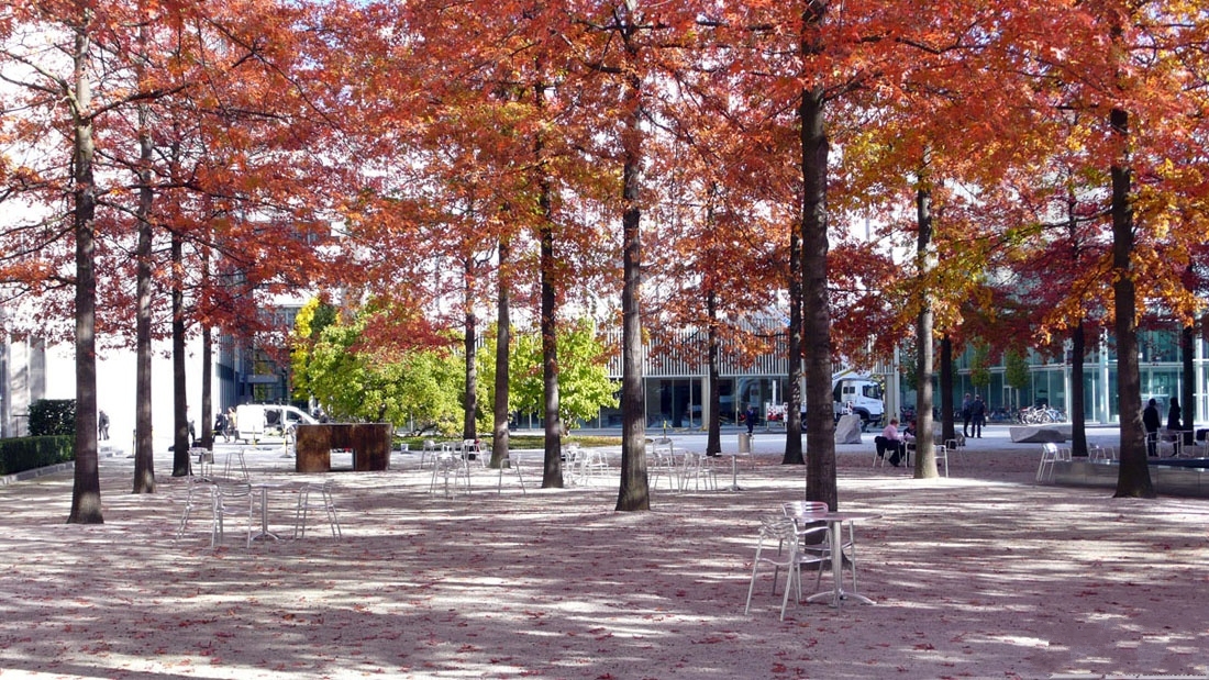 瑞士巴塞爾諾華公司總部廣場