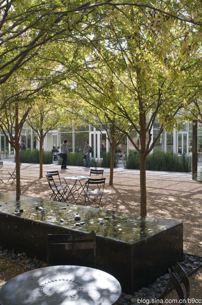 萊思大學Brochstein 亭