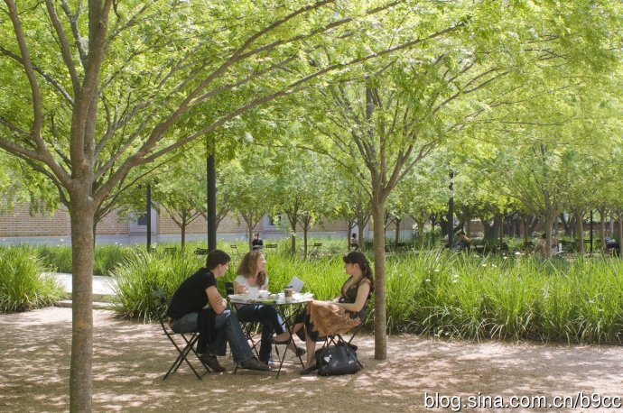 萊思大學Brochstein 亭