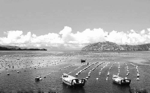 海洋生物源農藥目前是新型農藥研究的熱點方向。