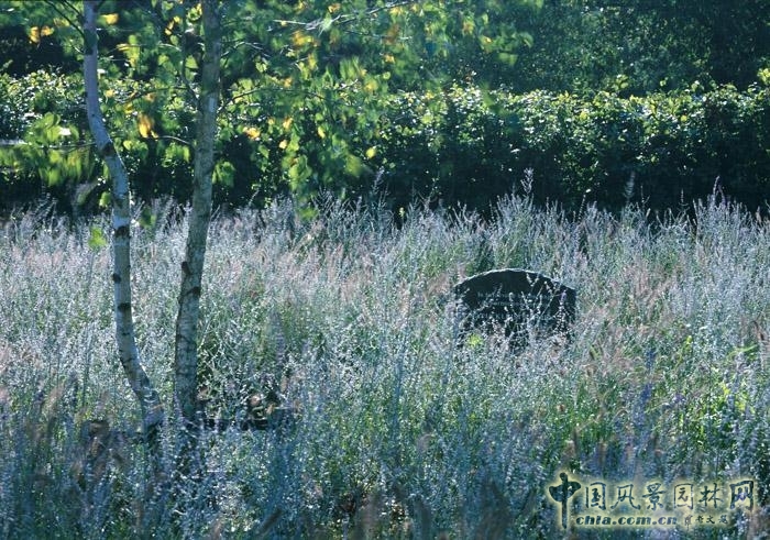 De Nieuwe Ooster公墓