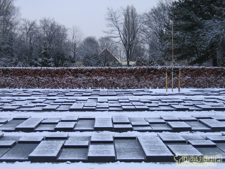 De Nieuwe Ooster公墓