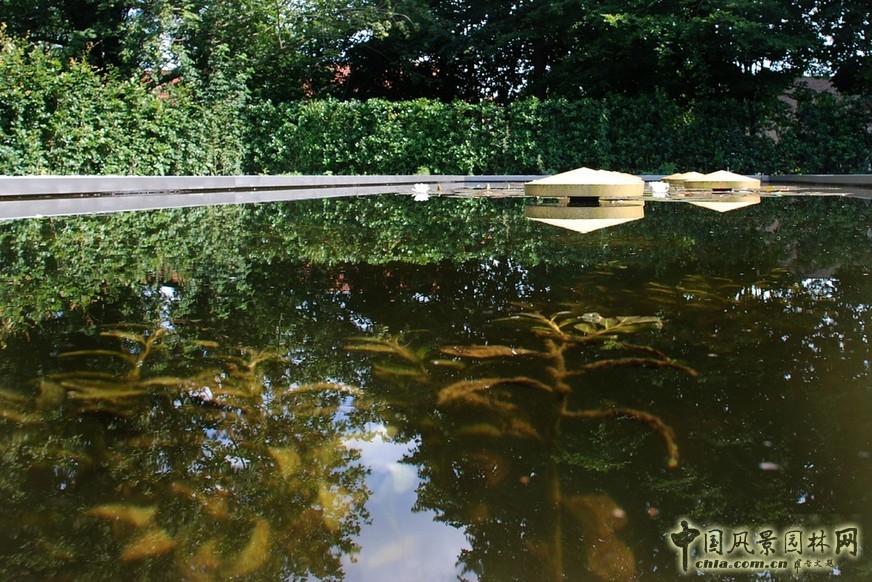 De Nieuwe Ooster公墓