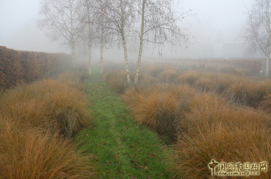 De Nieuwe Ooster公墓