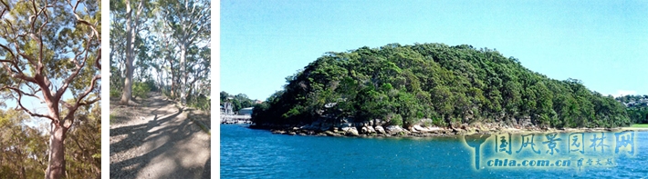 澳大利亞悉尼BARANGAROO海岬公園