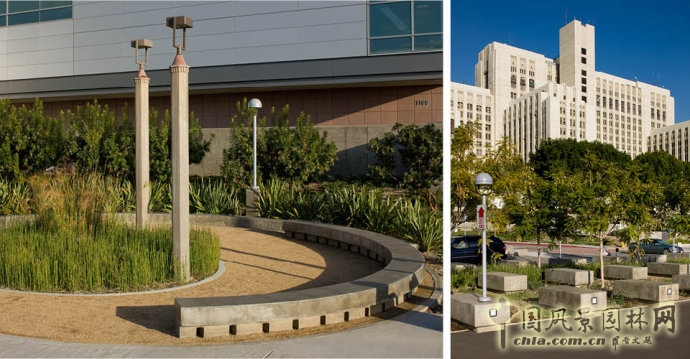 美國南加州大學(xué)LAC+USC醫(yī)學(xué)中心