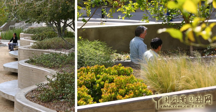 美國南加州大學(xué)LAC+USC醫(yī)學(xué)中心