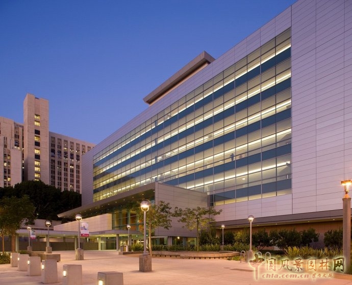 美國南加州大學LAC+USC醫學中心