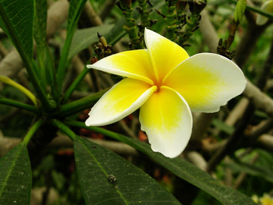 北京世界花卉大觀園