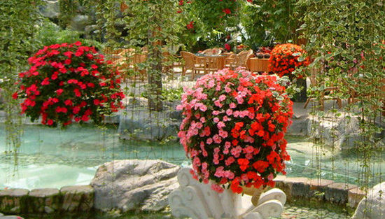 北京世界花卉大觀園