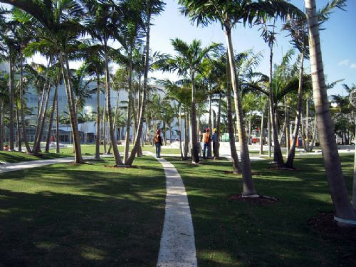 美國邁阿密林肯公園