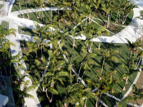 美國邁阿密林肯公園