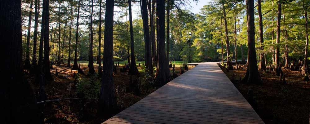 香格里拉植物園 景觀設(shè)計 植物園 可持續(xù)設(shè)計