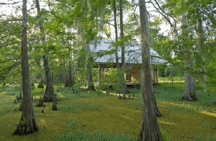 香格里拉植物園 景觀設(shè)計 植物園 可持續(xù)設(shè)計