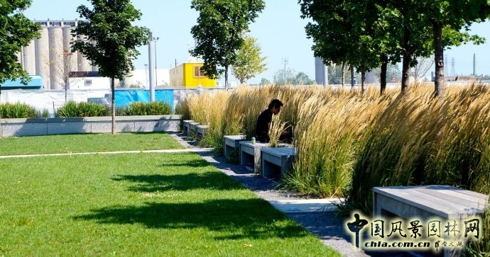 多倫多Sherbourne Common社區公園