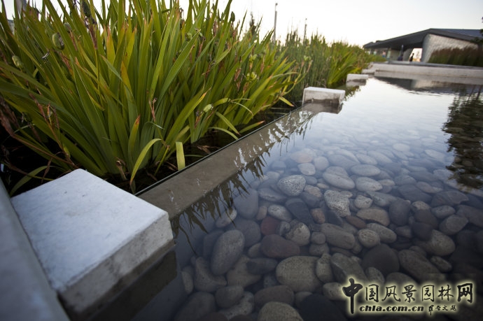 多倫多Sherbourne Common社區公園