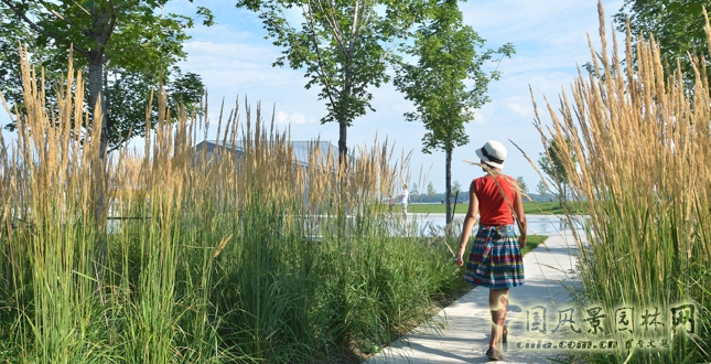 多倫多Sherbourne Common社區(qū)公園