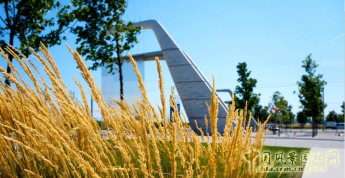 多倫多Sherbourne Common社區(qū)公園