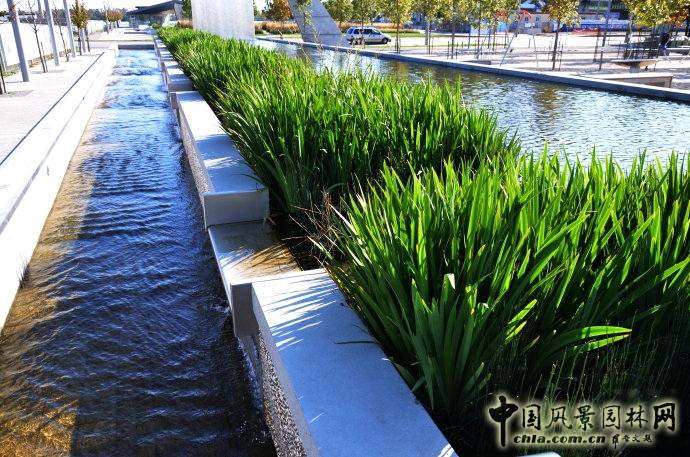 多倫多Sherbourne Common社區公園