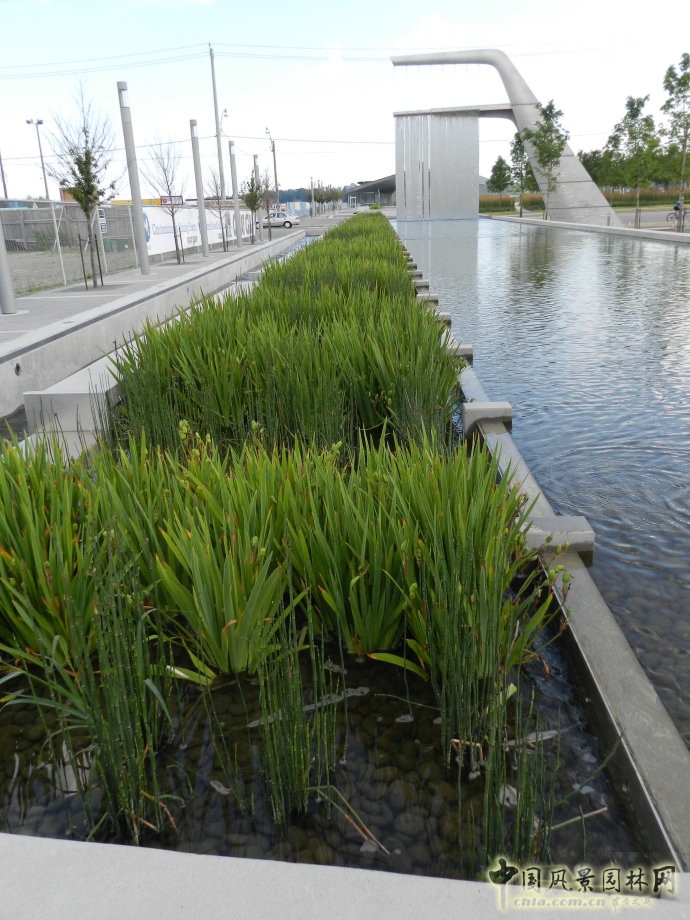 多倫多Sherbourne Common社區公園