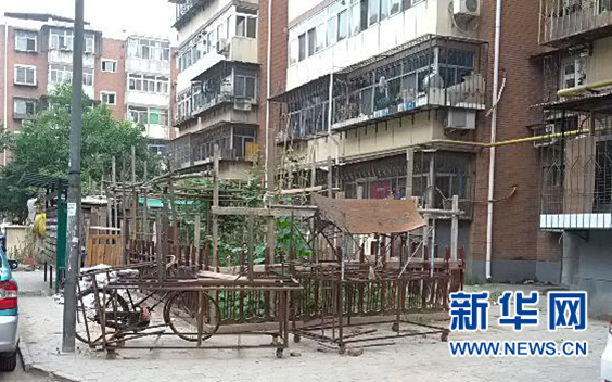 居民區(qū)內(nèi)占用綠地蓋成的小菜園