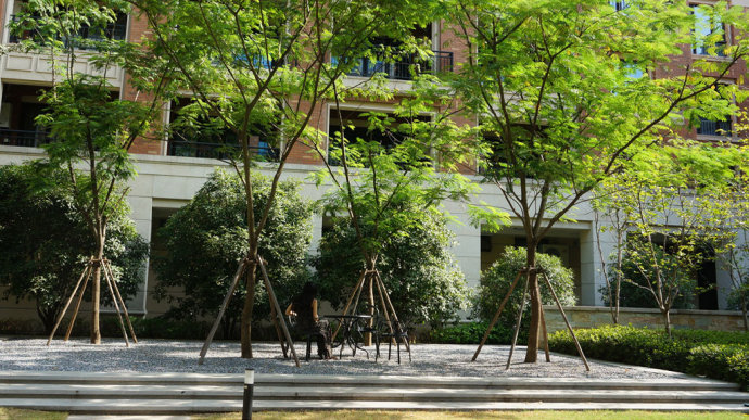 林下休憩小空間