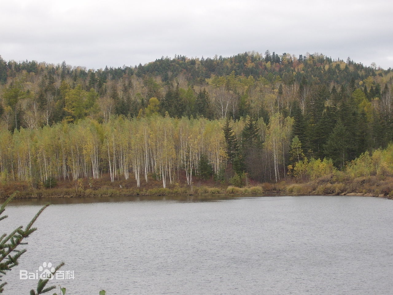 國家公園 湯望河國家公園 國家公園體制