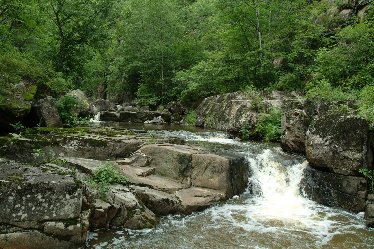 國家公園 湯望河國家公園 國家公園體制
