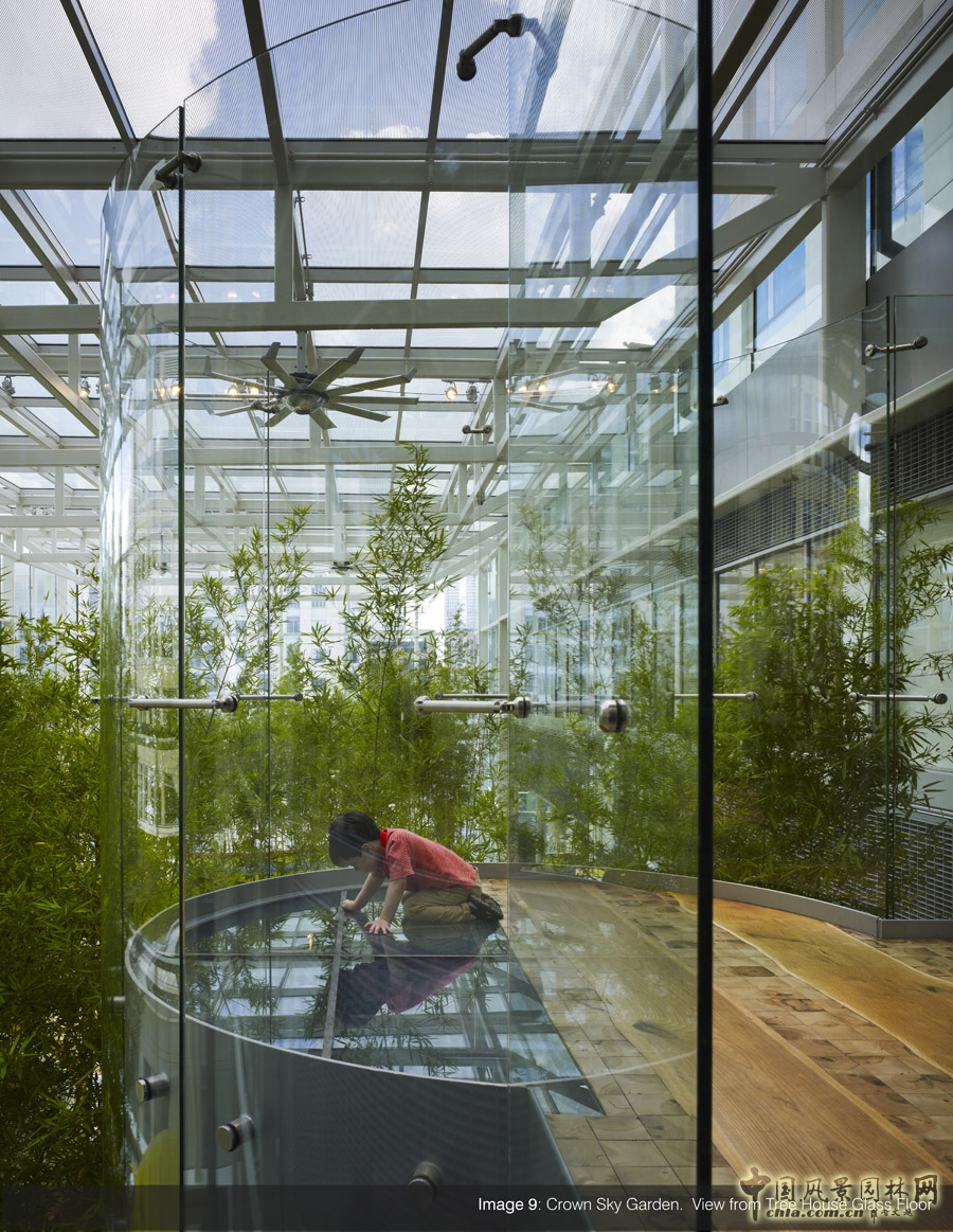 芝加哥皇冠空中花園