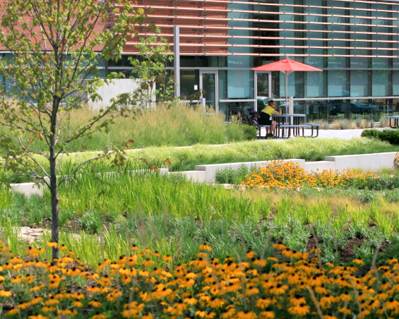 保險公司總部景觀項目