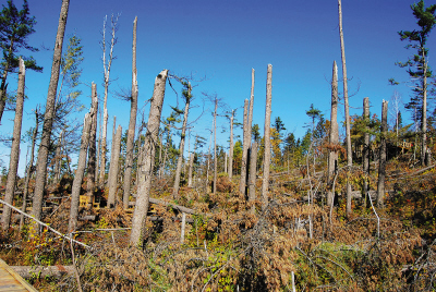 湯望河國家公園 花崗巖石林 地質公園