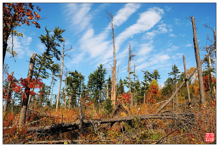 湯望河國家公園 花崗巖石林 地質公園